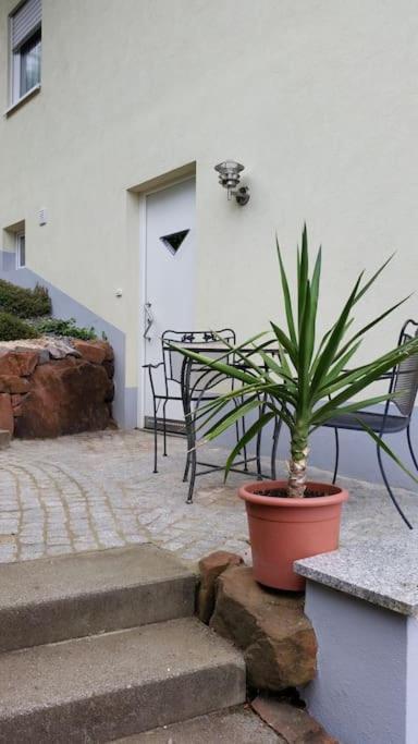 Ferienwohnung Talblick Im Schwarzwald Seelbach  Buitenkant foto