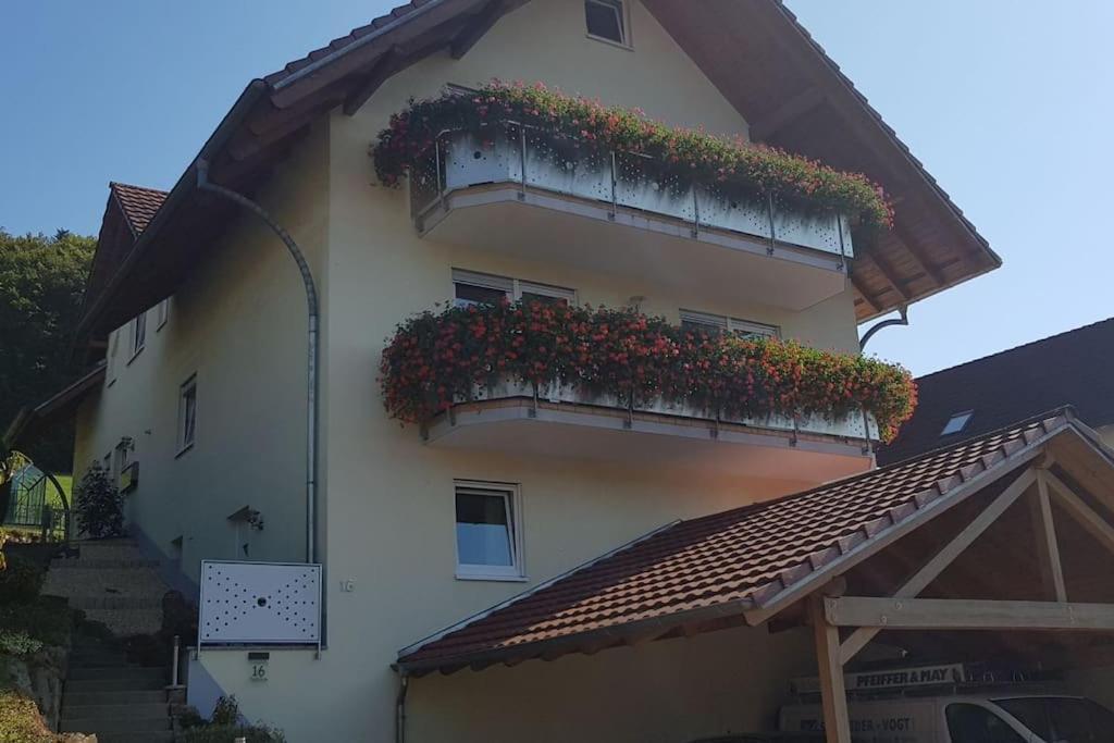 Ferienwohnung Talblick Im Schwarzwald Seelbach  Buitenkant foto