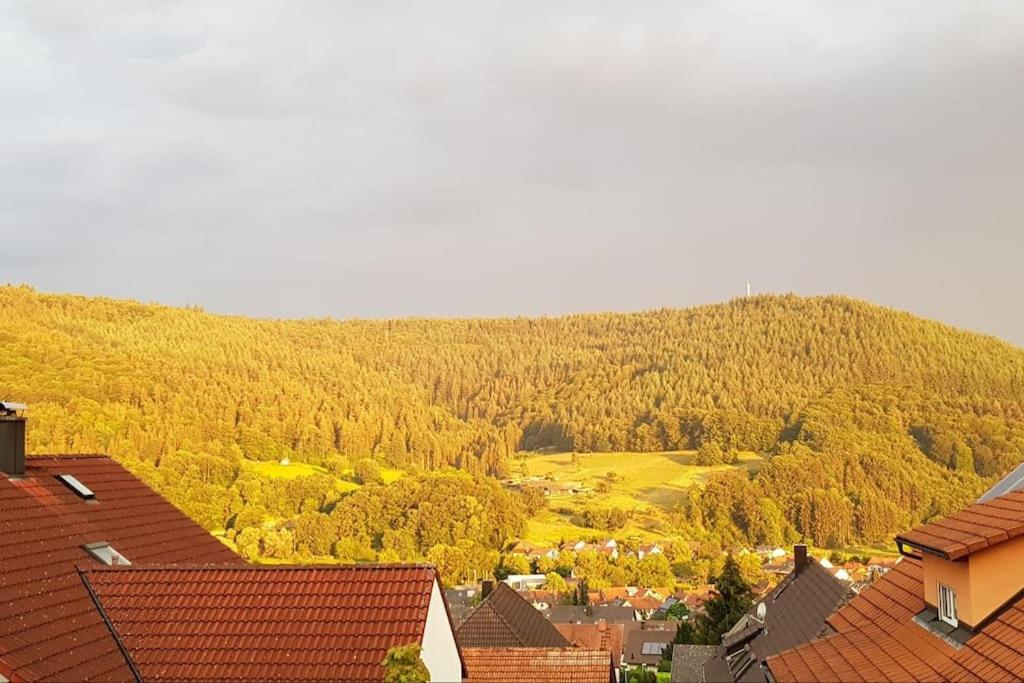 Ferienwohnung Talblick Im Schwarzwald Seelbach  Buitenkant foto
