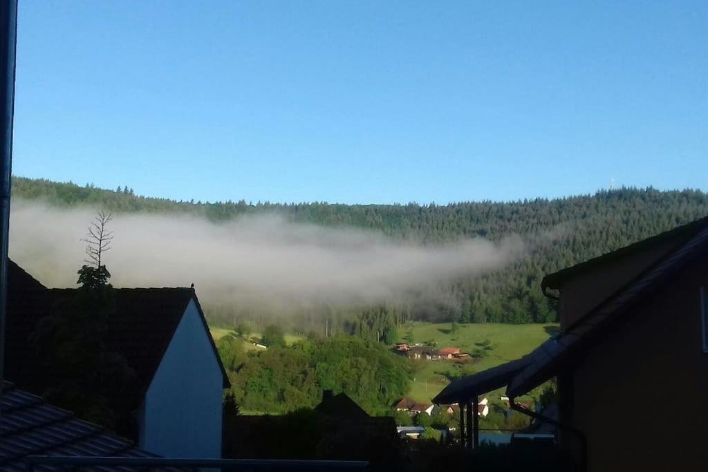 Ferienwohnung Talblick Im Schwarzwald Seelbach  Buitenkant foto