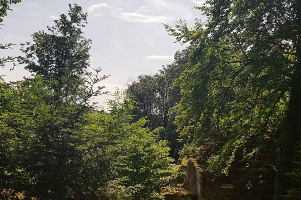 Ferienwohnung Talblick Im Schwarzwald Seelbach  Buitenkant foto