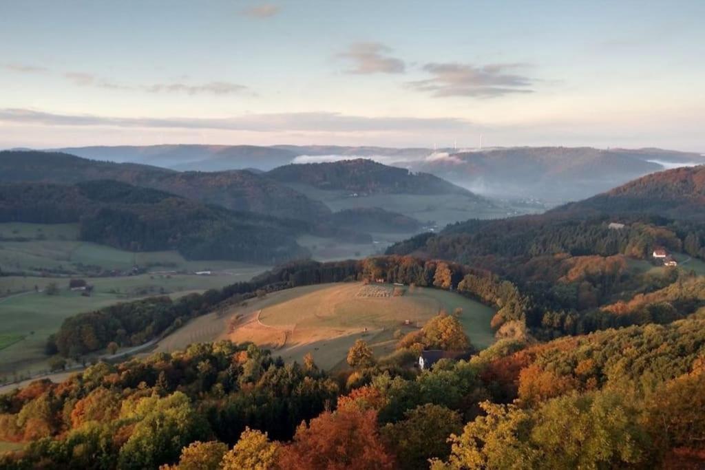 Ferienwohnung Talblick Im Schwarzwald Seelbach  Buitenkant foto