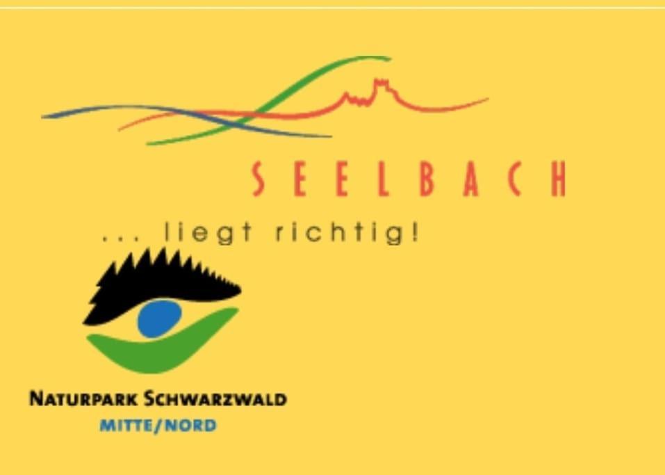 Ferienwohnung Talblick Im Schwarzwald Seelbach  Buitenkant foto