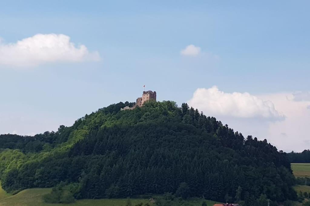 Ferienwohnung Talblick Im Schwarzwald Seelbach  Buitenkant foto