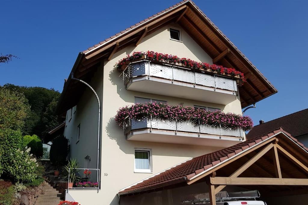 Ferienwohnung Talblick Im Schwarzwald Seelbach  Buitenkant foto