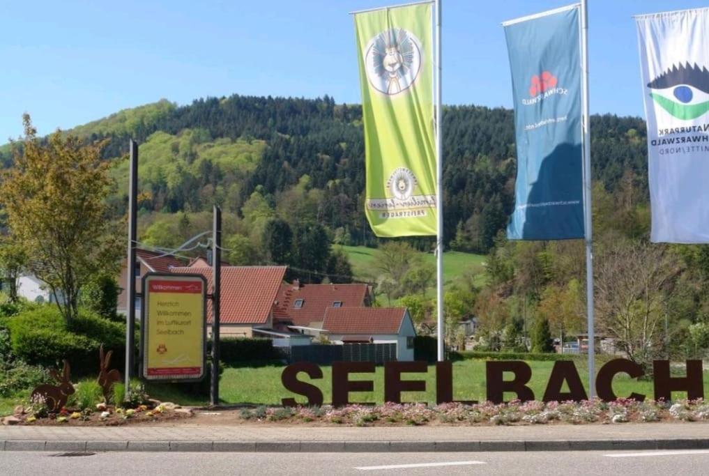Ferienwohnung Talblick Im Schwarzwald Seelbach  Buitenkant foto