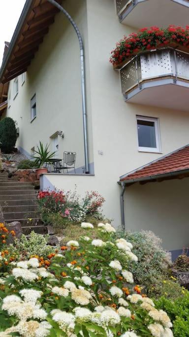 Ferienwohnung Talblick Im Schwarzwald Seelbach  Buitenkant foto
