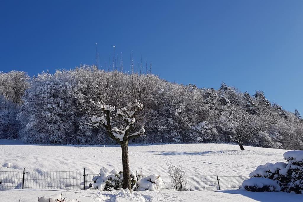 Ferienwohnung Talblick Im Schwarzwald Seelbach  Buitenkant foto