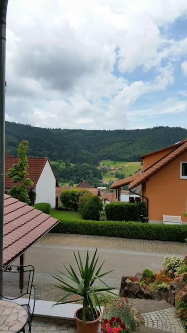 Ferienwohnung Talblick Im Schwarzwald Seelbach  Buitenkant foto