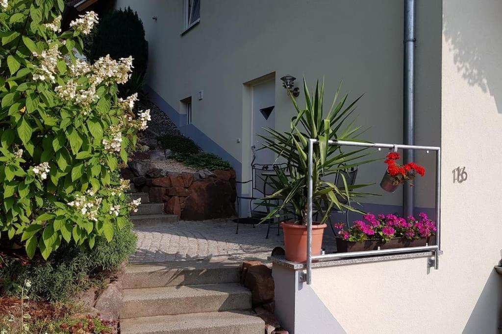 Ferienwohnung Talblick Im Schwarzwald Seelbach  Buitenkant foto